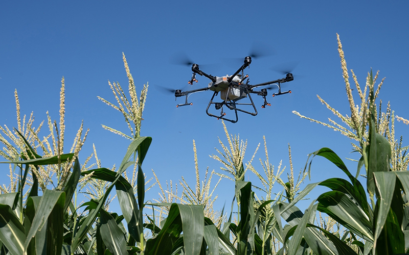 Un drone agricolo sorvola un campo.