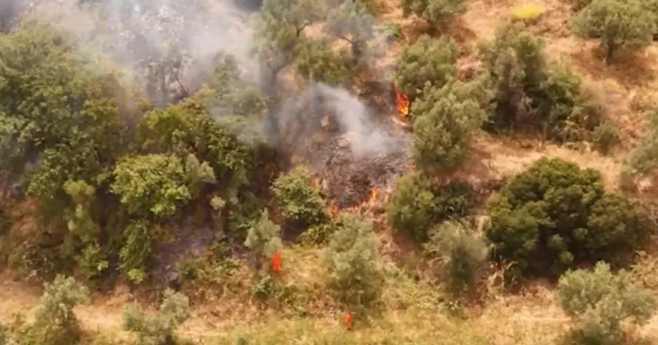 Droni in volo sulla Calabria per stanare i responsabili degli incendi dolosi che ogni estate devastano il territorio. 