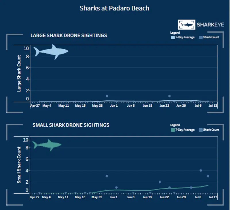 Presso il Benioff Ocean Science Laboratory dell'Università della California a Santa Barbara, il progetto SharkEye impiega droni equipaggiati con sistemi di intelligenza artificiale per monitorare l'attività degli squali e tutelare la sicurezza dei bagnanti nella spiaggia di Padaro.