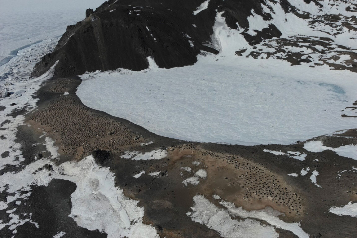 Le pinguinaie nei pressi della base italiana Mario Zucchelli in Antartide.